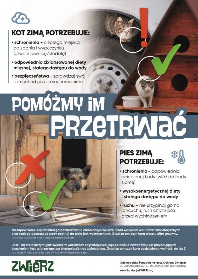 Plakat-zima